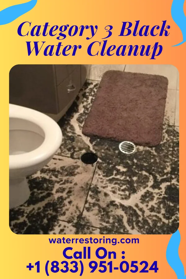 Category 3 Black Water Cleanup in Parkesburg, PA