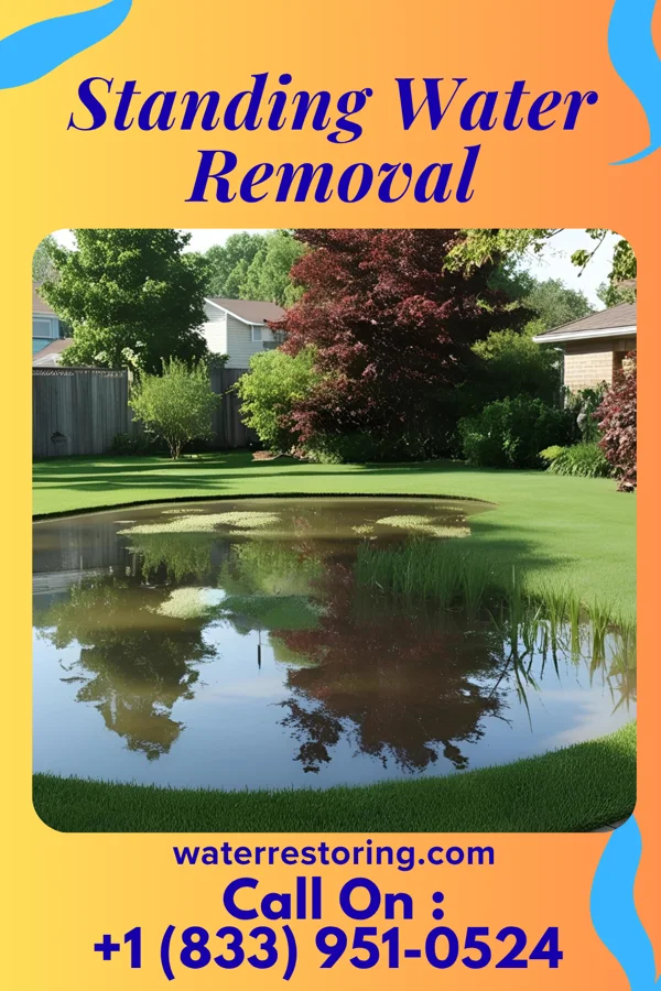 Standing Water Removal in Parkesburg, PA